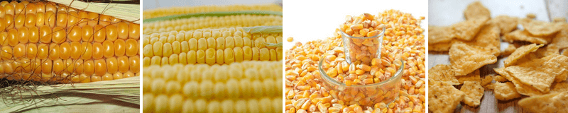 Exemplo das etapas de um alimento processado: milho natural e processado milho natural e processado